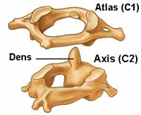 atlas-axis